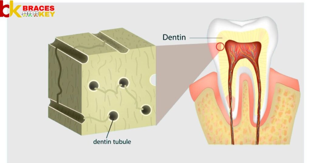 Are Root Canals Bad For You