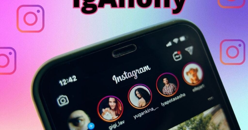 How to Use IgAnony To View Instagram Story?